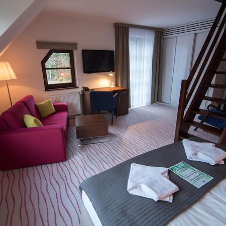 Aparthotel Flinski Sport & Spa Свєрадув-Здруй Номер фото